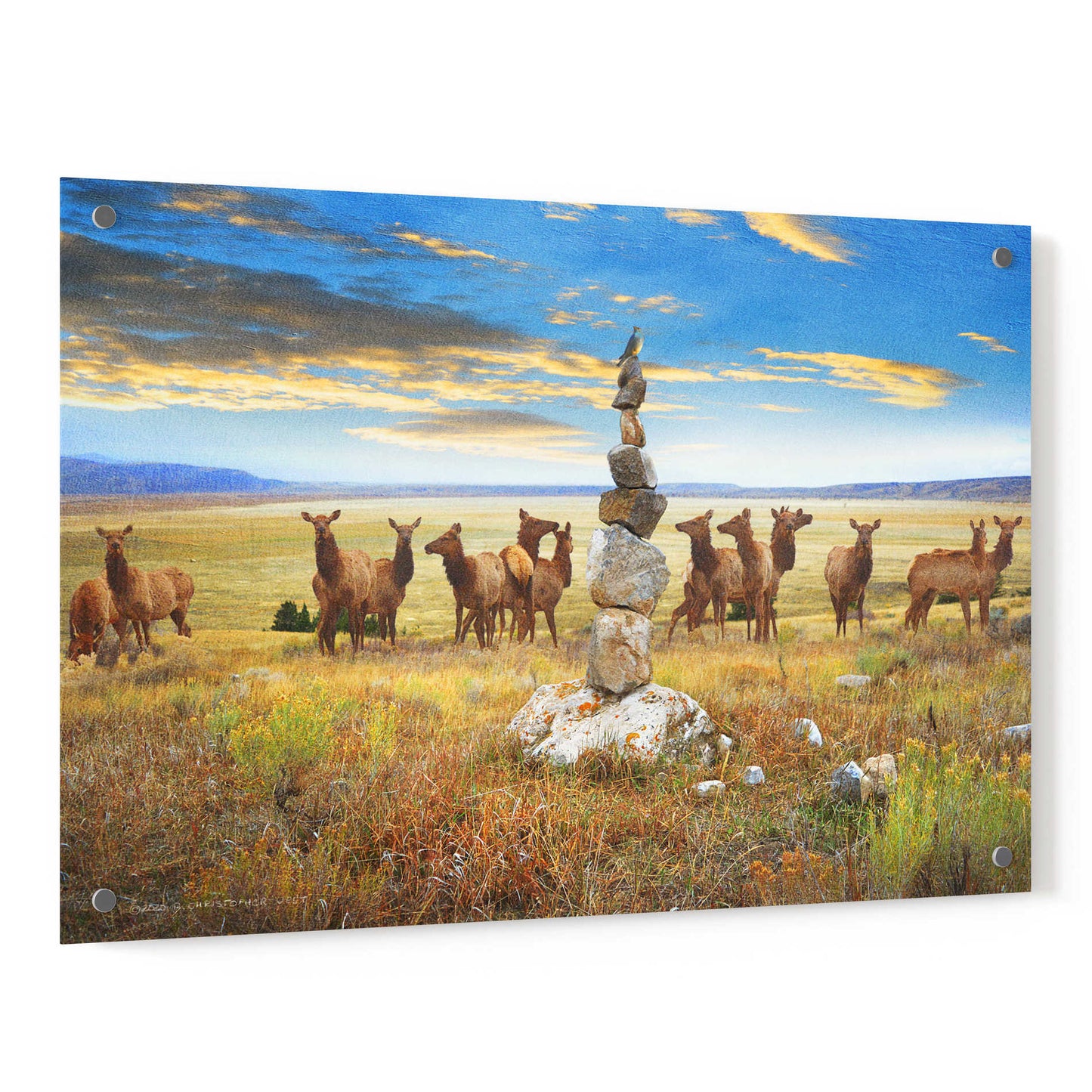 Epic Art 'Cairn Above Elk Refuge' by Chris Vest, Acrylic Glass Wall Art,36x24