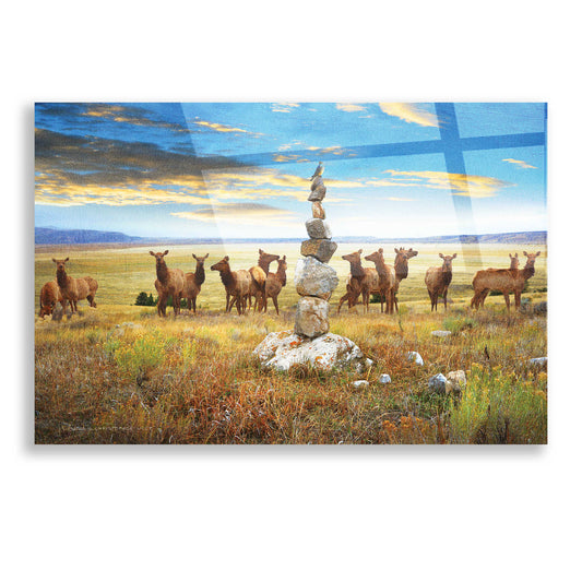 Epic Art 'Cairn Above Elk Refuge' by Chris Vest, Acrylic Glass Wall Art