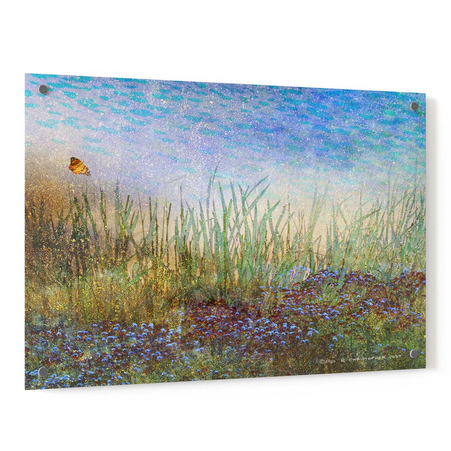 Epic Art 'Meadow with Butterfly' by Chris Vest, Acrylic Glass Wall Art,36x24