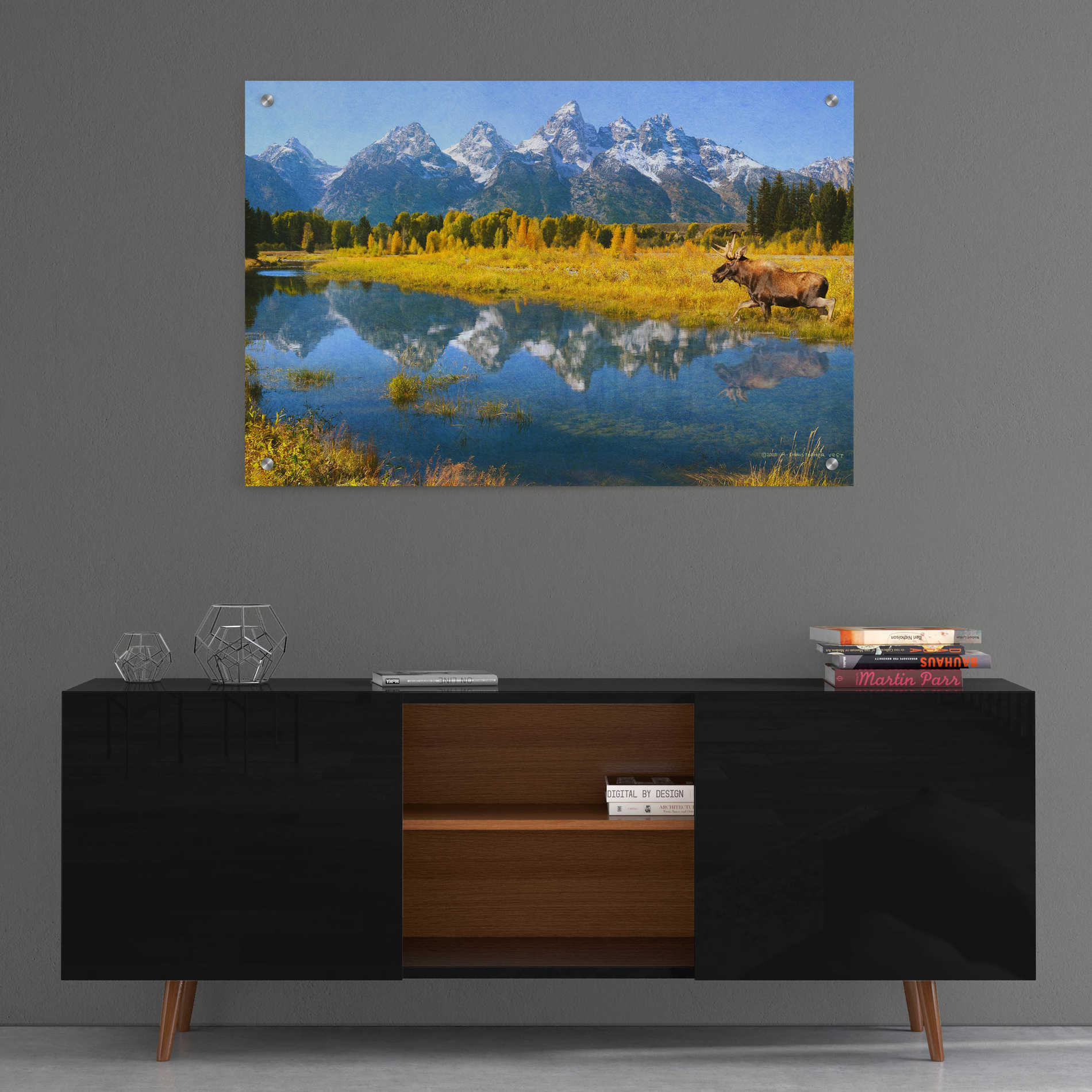 Epic Art 'Grand Teton Reflections Moose' by Chris Vest, Acrylic Glass Wall Art,36x24