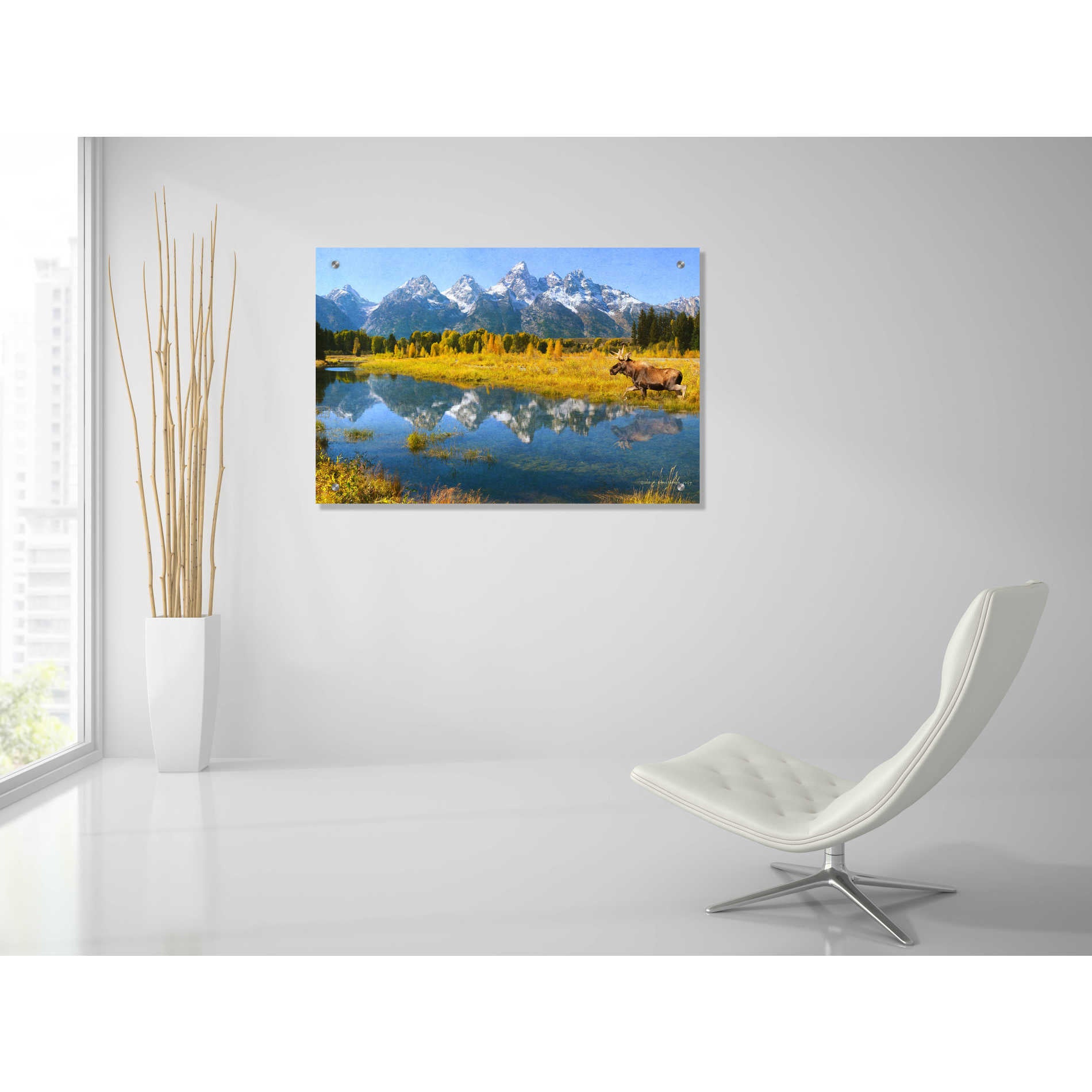 Epic Art 'Grand Teton Reflections Moose' by Chris Vest, Acrylic Glass Wall Art,36x24