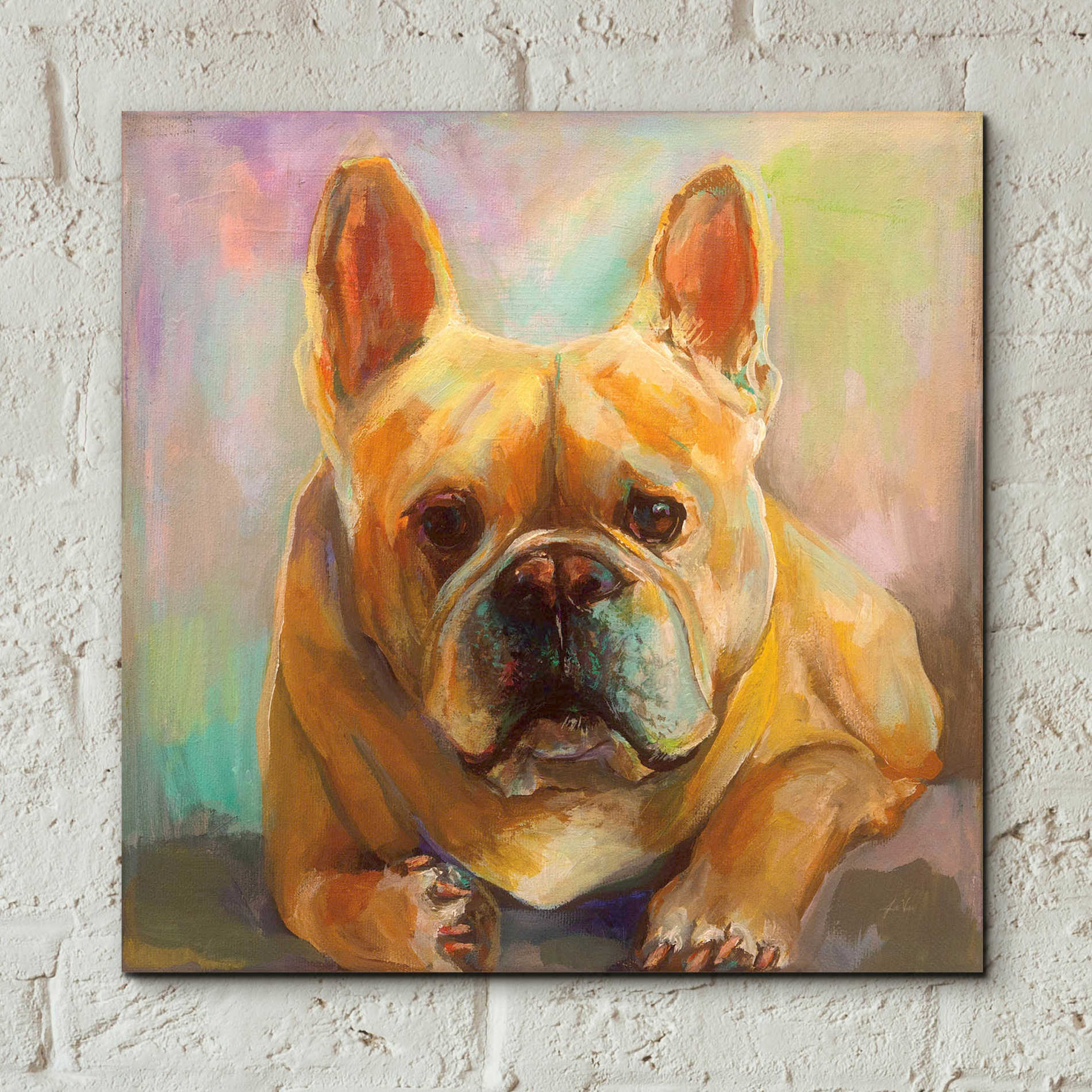 Epic Art 'Frenchie' by Jeanette Vertentes, Acrylic Glass Wall Art,12x12