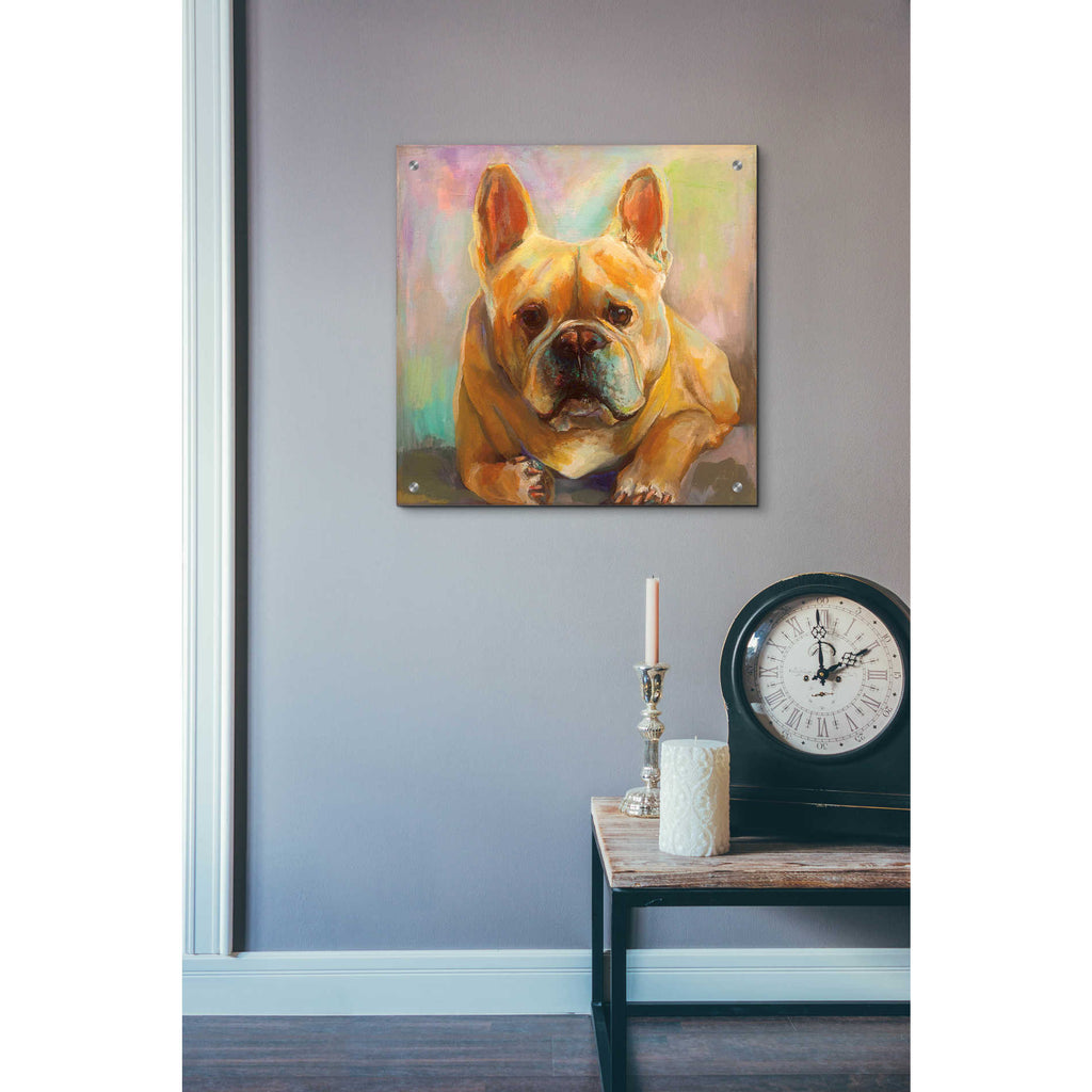 Epic Art 'Frenchie' by Jeanette Vertentes, Acrylic Glass Wall Art,24x24
