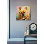 Epic Art 'Frenchie' by Jeanette Vertentes, Acrylic Glass Wall Art,24x24