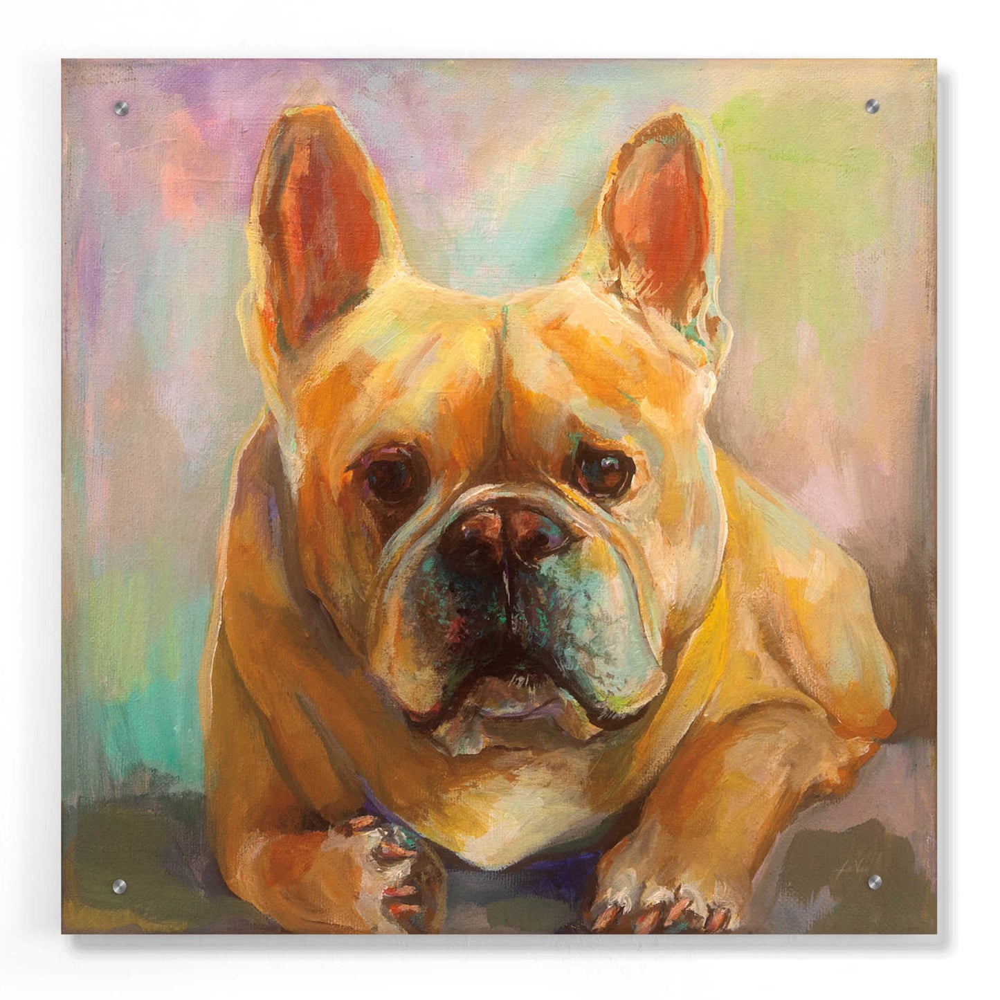 Epic Art 'Frenchie' by Jeanette Vertentes, Acrylic Glass Wall Art,24x24
