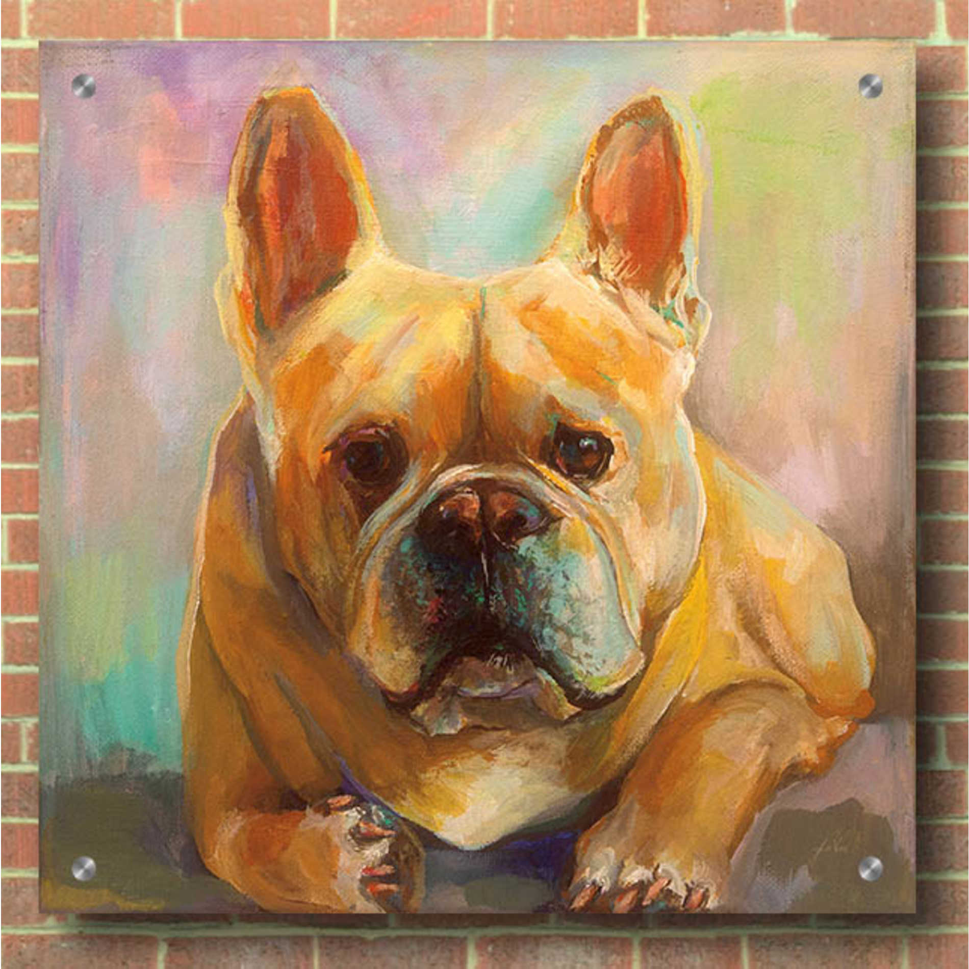 Epic Art 'Frenchie' by Jeanette Vertentes, Acrylic Glass Wall Art,36x36