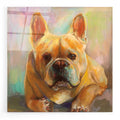 Epic Art 'Frenchie' by Jeanette Vertentes, Acrylic Glass Wall Art
