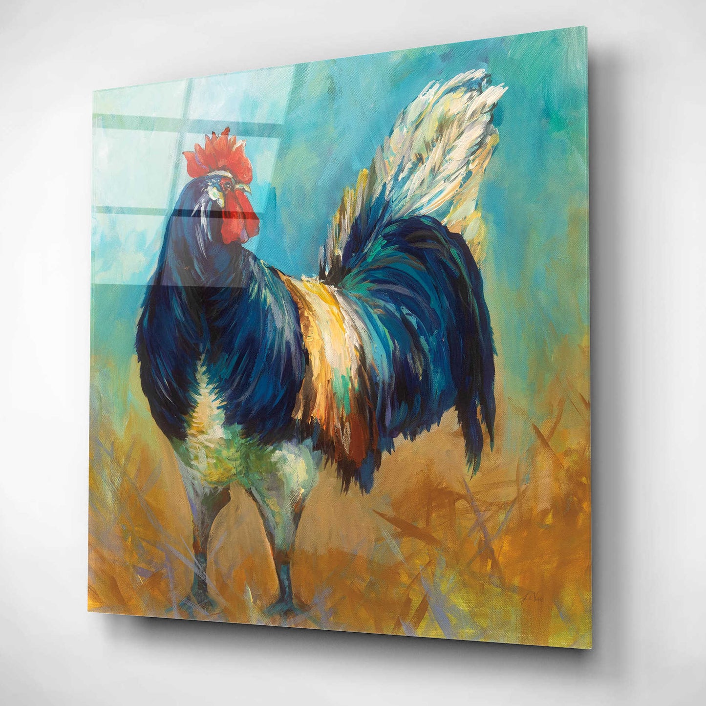 Epic Art 'Cocky' by Jeanette Vertentes, Acrylic Glass Wall Art,12x12