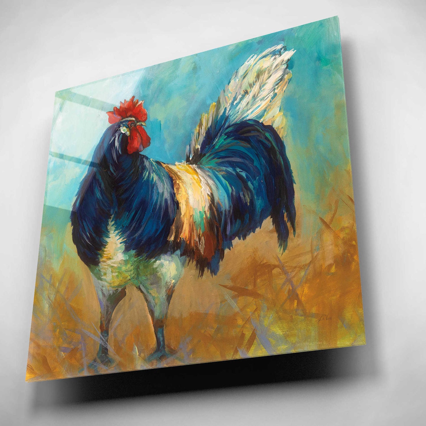Epic Art 'Cocky' by Jeanette Vertentes, Acrylic Glass Wall Art,12x12