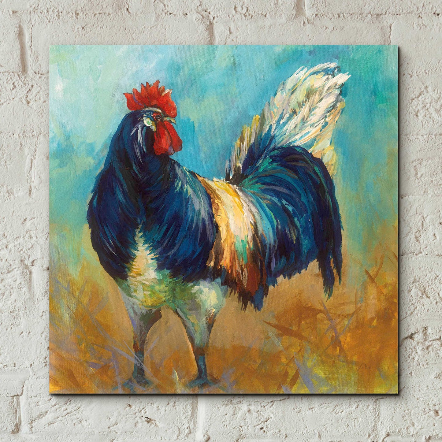 Epic Art 'Cocky' by Jeanette Vertentes, Acrylic Glass Wall Art,12x12