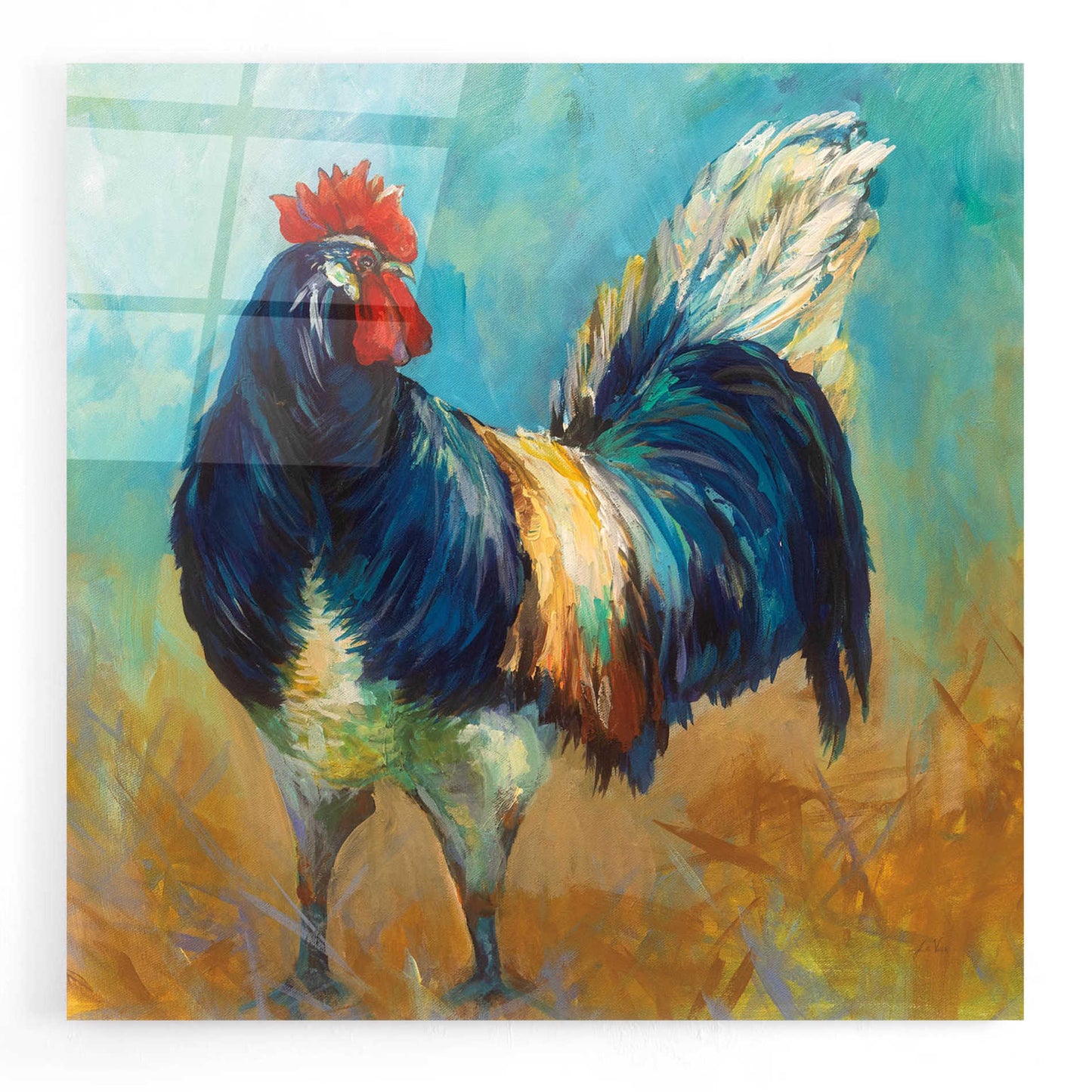 Epic Art 'Cocky' by Jeanette Vertentes, Acrylic Glass Wall Art,12x12