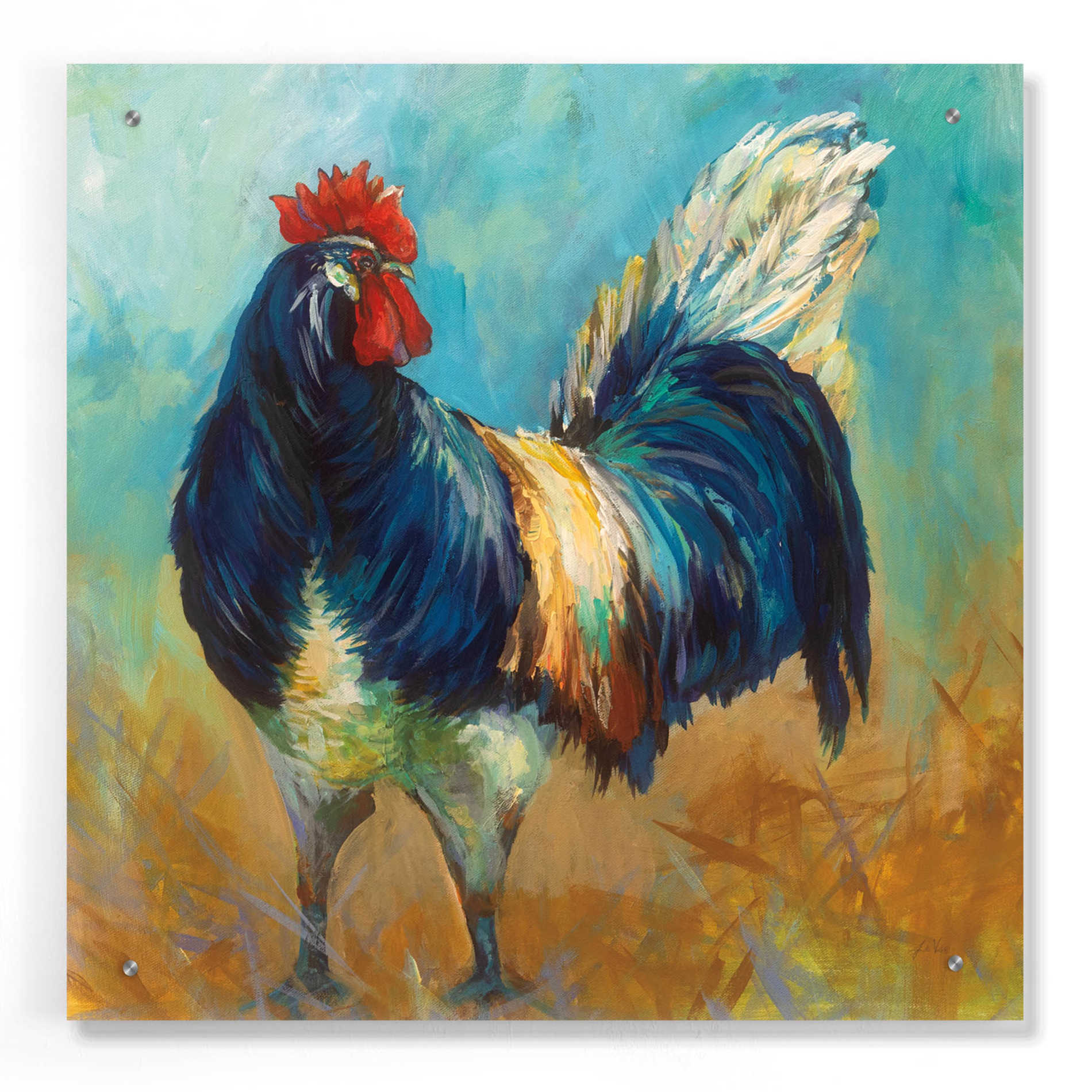 Epic Art 'Cocky' by Jeanette Vertentes, Acrylic Glass Wall Art,24x24