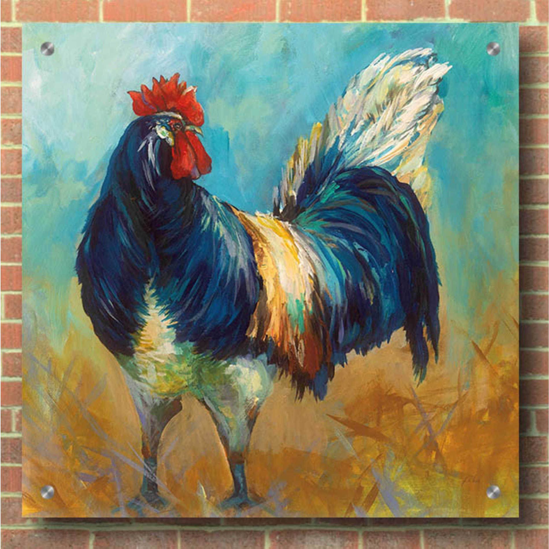 Epic Art 'Cocky' by Jeanette Vertentes, Acrylic Glass Wall Art,36x36