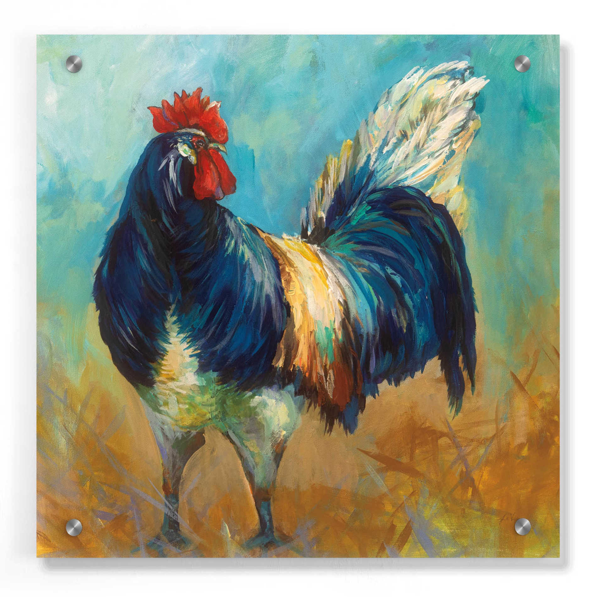 Epic Art 'Cocky' by Jeanette Vertentes, Acrylic Glass Wall Art,36x36