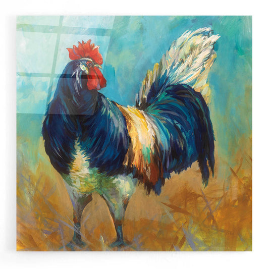 Epic Art 'Cocky' by Jeanette Vertentes, Acrylic Glass Wall Art