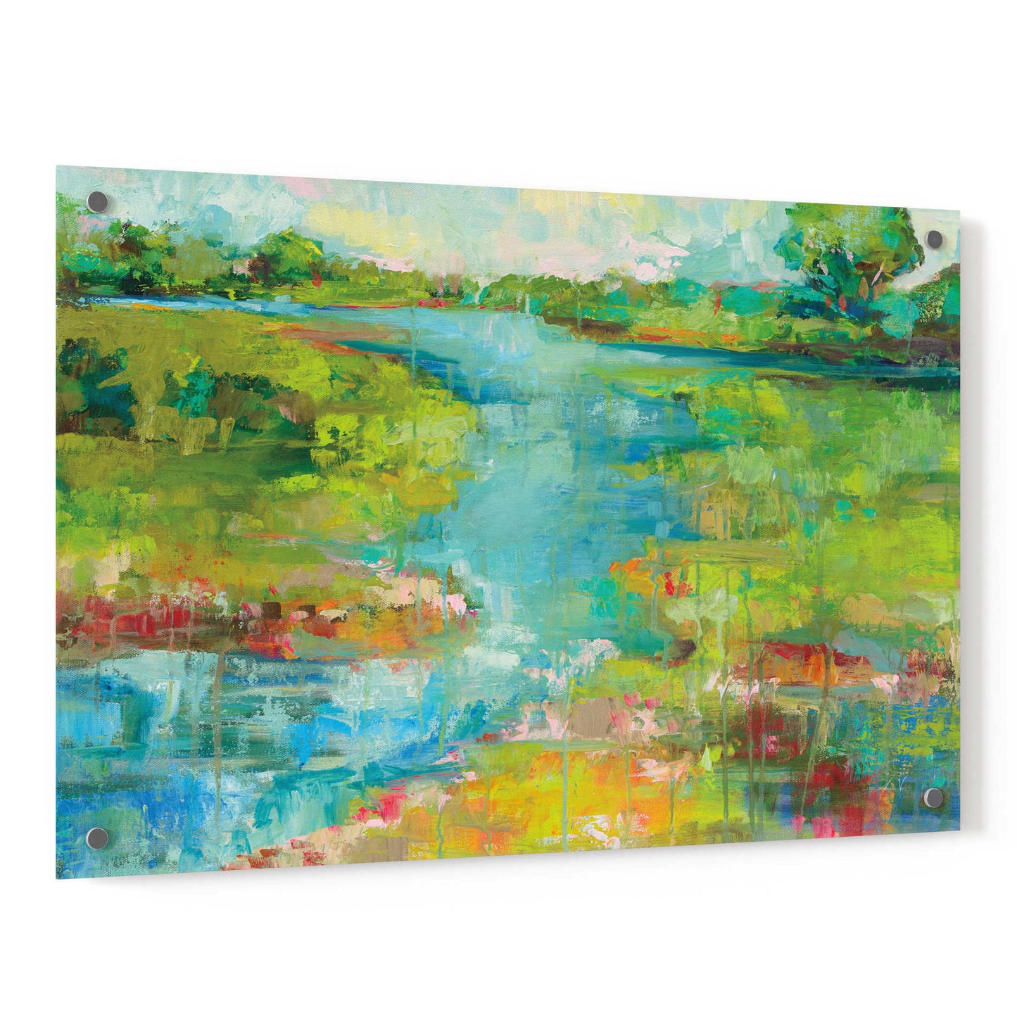 Epic Art 'Spring Marsh' by Jeanette Vertentes, Acrylic Glass Wall Art,36x24