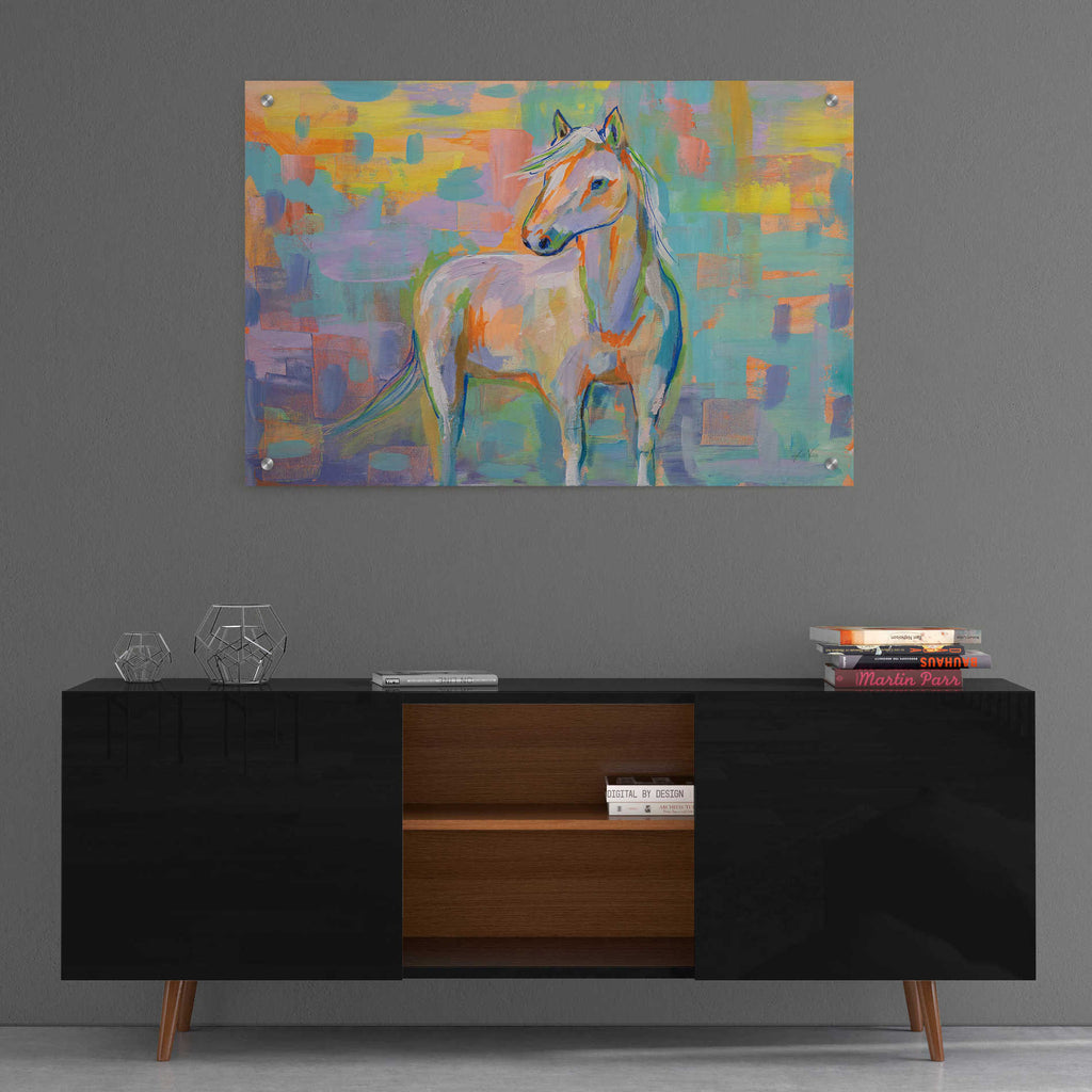 Epic Art 'Snow' by Jeanette Vertentes, Acrylic Glass Wall Art,36x24