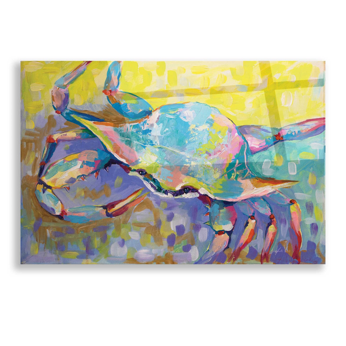 Epic Art 'Crabby Boy' by Jeanette Vertentes, Acrylic Glass Wall Art,16x12