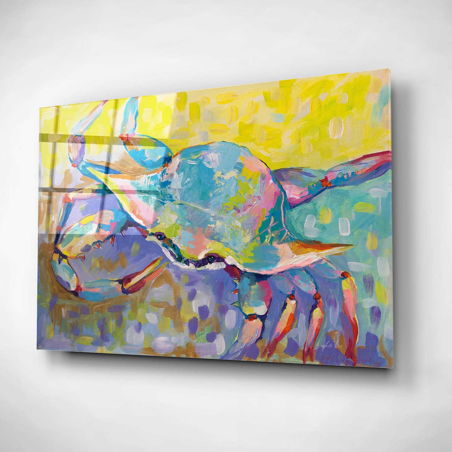 Epic Art 'Crabby Boy' by Jeanette Vertentes, Acrylic Glass Wall Art,24x16