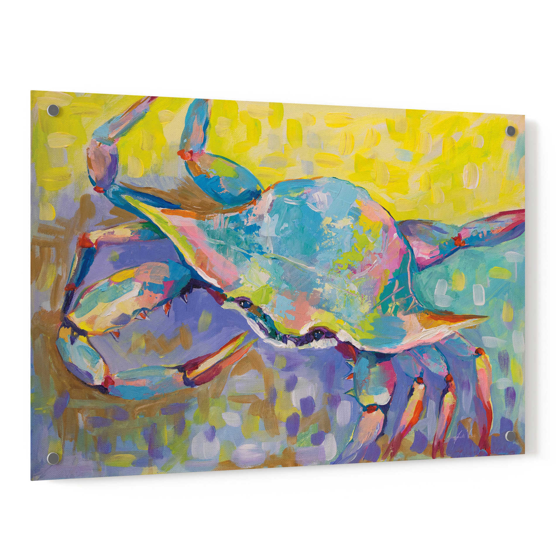 Epic Art 'Crabby Boy' by Jeanette Vertentes, Acrylic Glass Wall Art,36x24