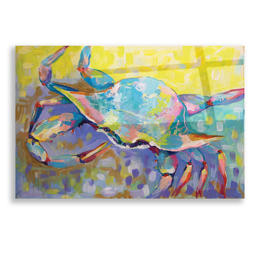 Epic Art 'Crabby Boy' by Jeanette Vertentes, Acrylic Glass Wall Art