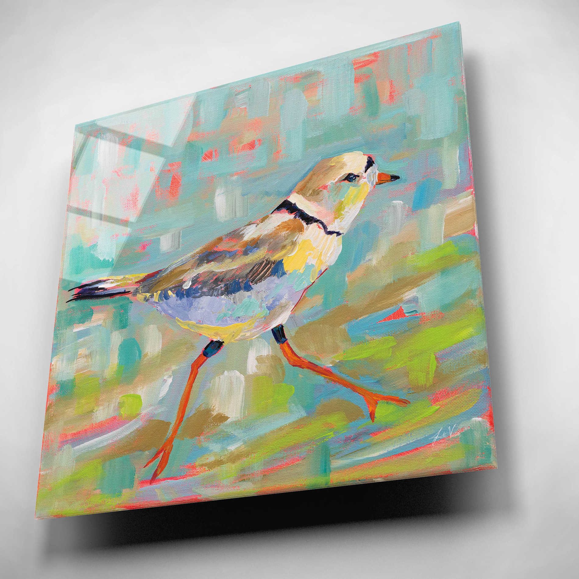 Epic Art 'Coastal Plover I' by Jeanette Vertentes, Acrylic Glass Wall Art,12x12