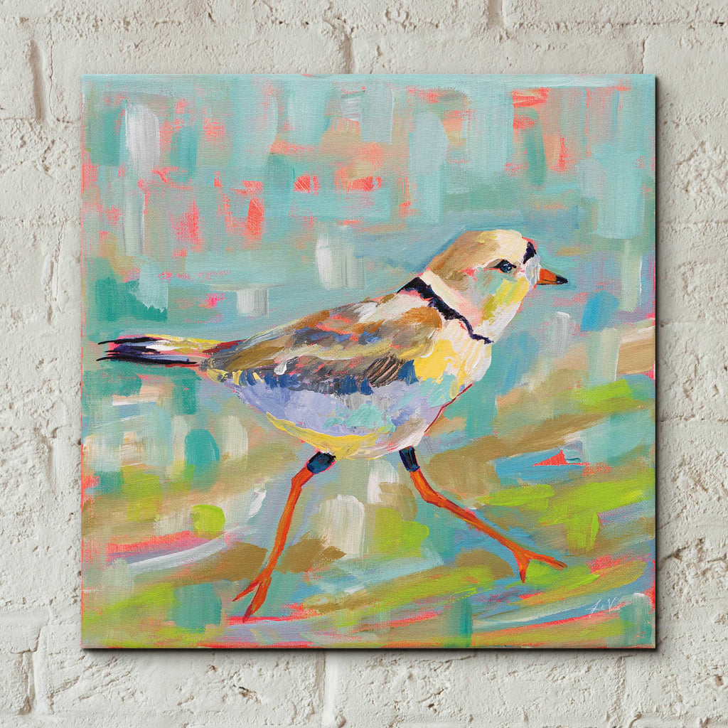 Epic Art 'Coastal Plover I' by Jeanette Vertentes, Acrylic Glass Wall Art,12x12