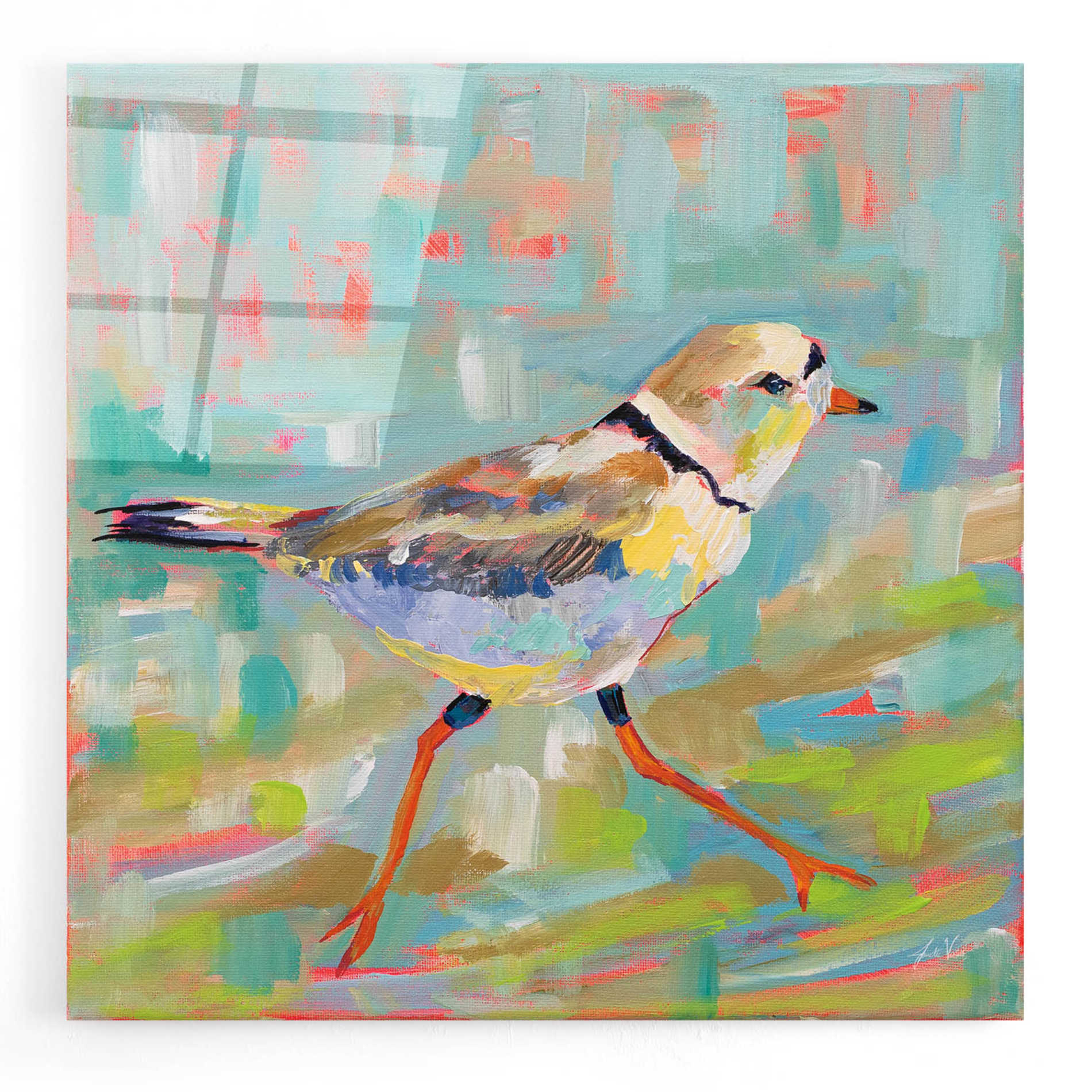 Epic Art 'Coastal Plover I' by Jeanette Vertentes, Acrylic Glass Wall Art,12x12