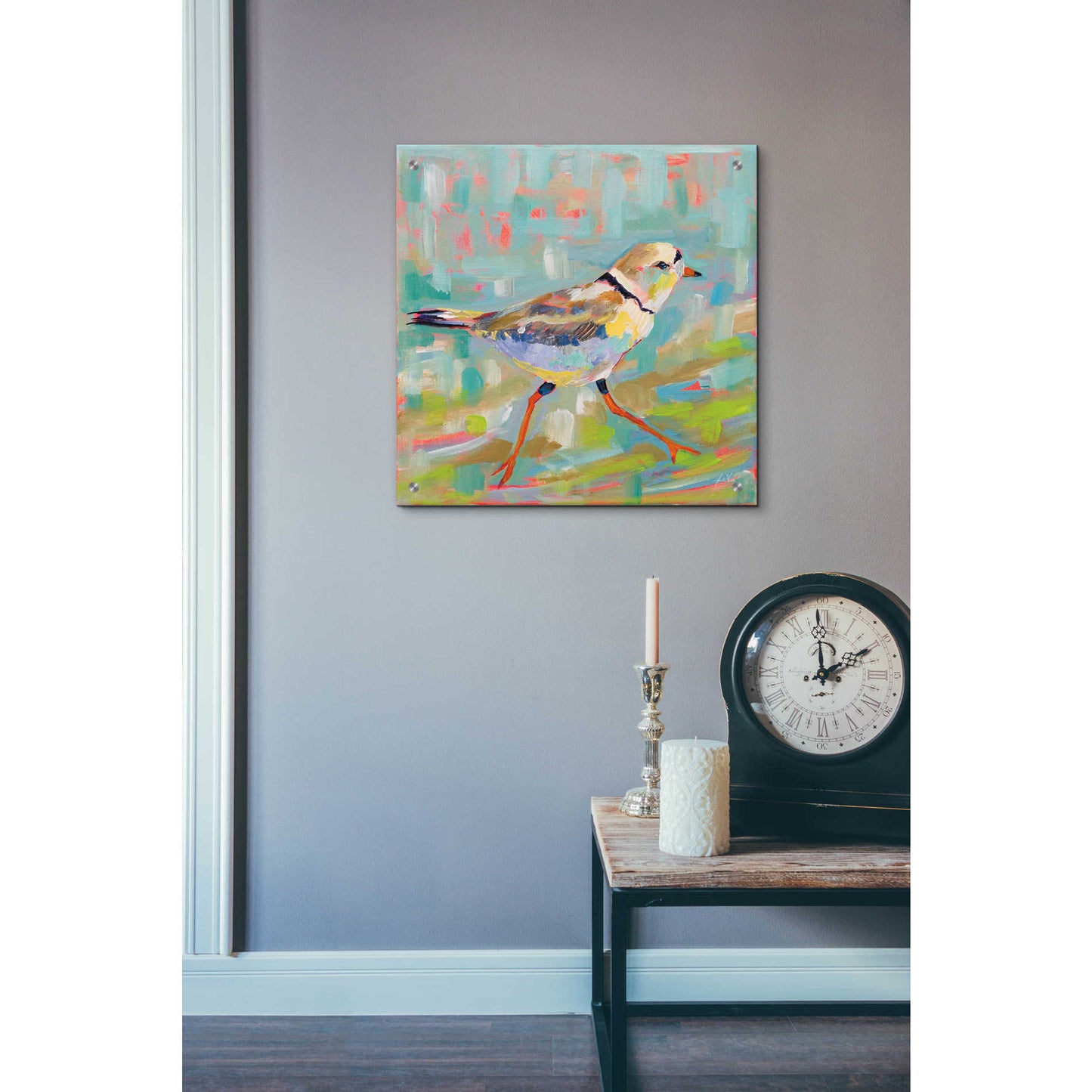 Epic Art 'Coastal Plover I' by Jeanette Vertentes, Acrylic Glass Wall Art,24x24