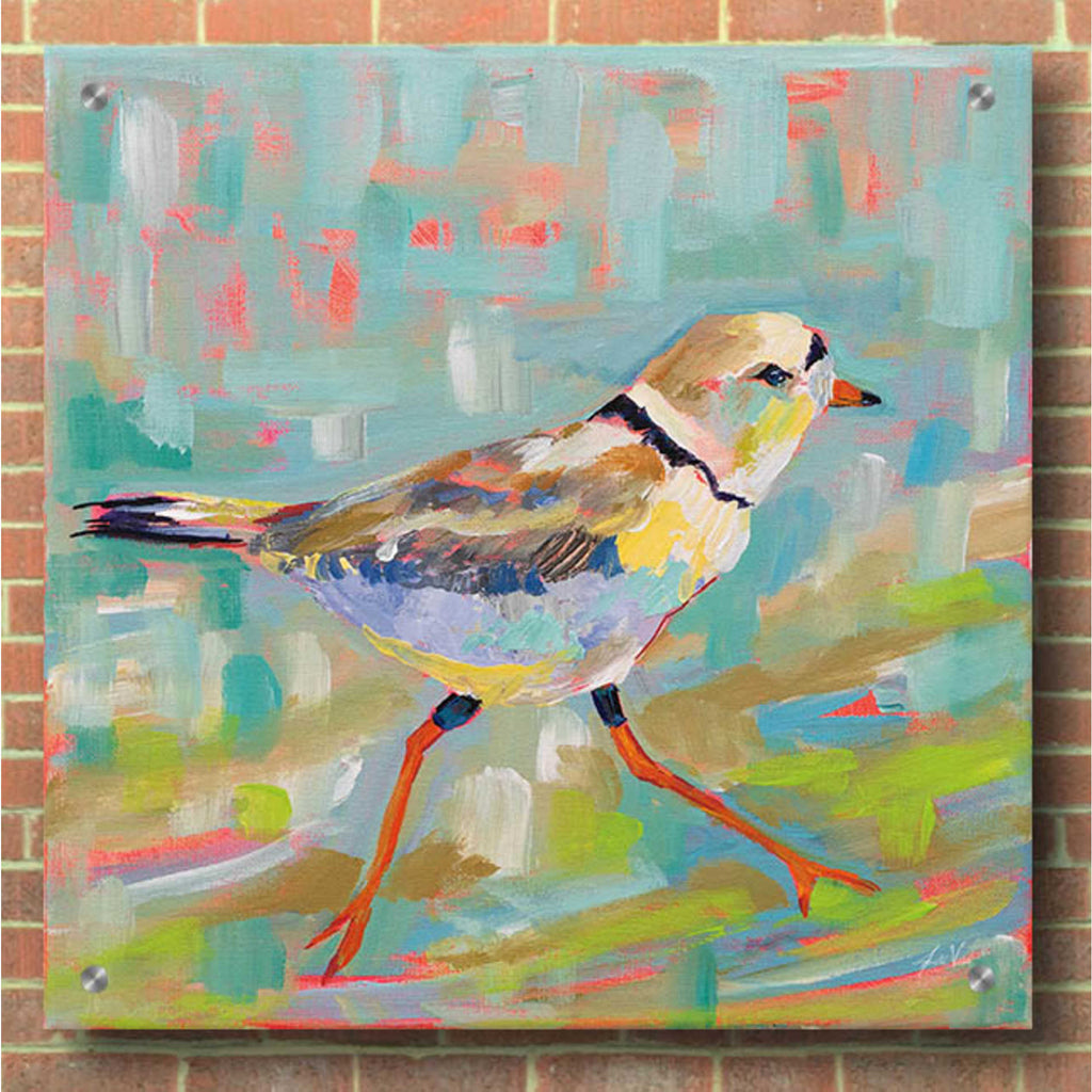 Epic Art 'Coastal Plover I' by Jeanette Vertentes, Acrylic Glass Wall Art,36x36