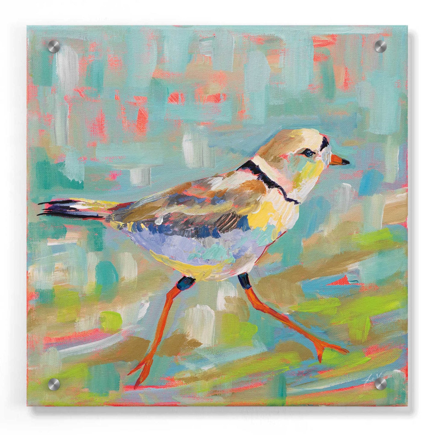 Epic Art 'Coastal Plover I' by Jeanette Vertentes, Acrylic Glass Wall Art,36x36
