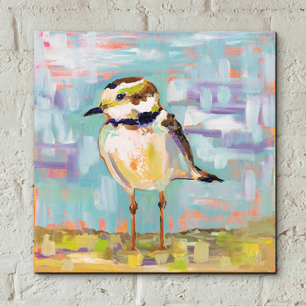 Epic Art 'Coastal Plover II' by Jeanette Vertentes, Acrylic Glass Wall Art,12x12