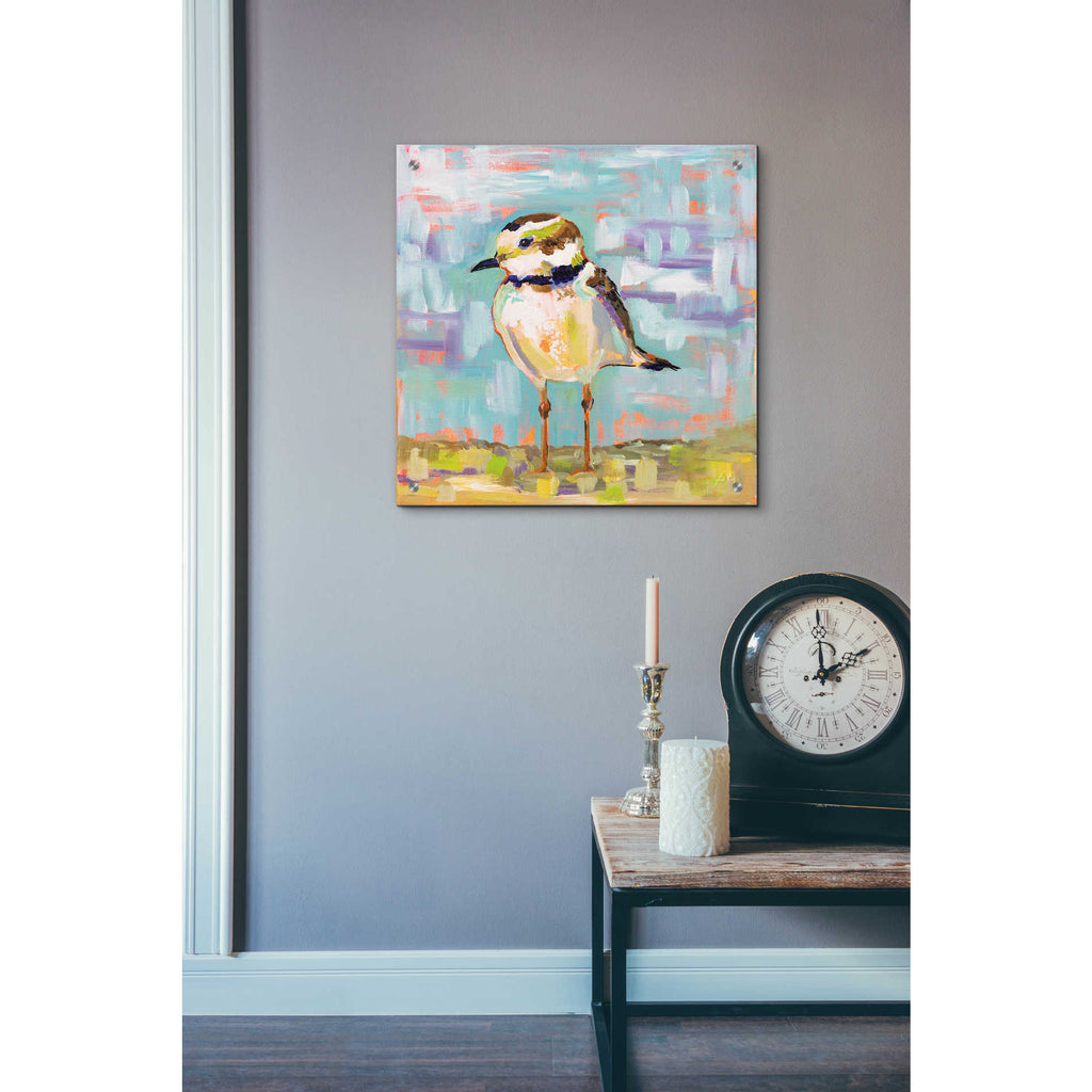 Epic Art 'Coastal Plover II' by Jeanette Vertentes, Acrylic Glass Wall Art,24x24