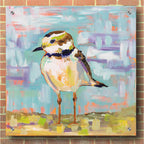 Epic Art 'Coastal Plover II' by Jeanette Vertentes, Acrylic Glass Wall Art,36x36