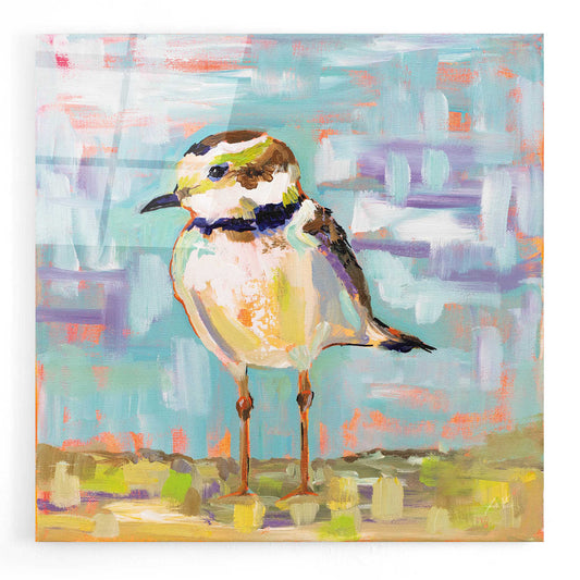 Epic Art 'Coastal Plover II' by Jeanette Vertentes, Acrylic Glass Wall Art