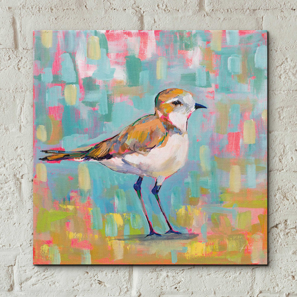 Epic Art 'Coastal Plover III' by Jeanette Vertentes, Acrylic Glass Wall Art,12x12