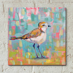 Epic Art 'Coastal Plover III' by Jeanette Vertentes, Acrylic Glass Wall Art,12x12