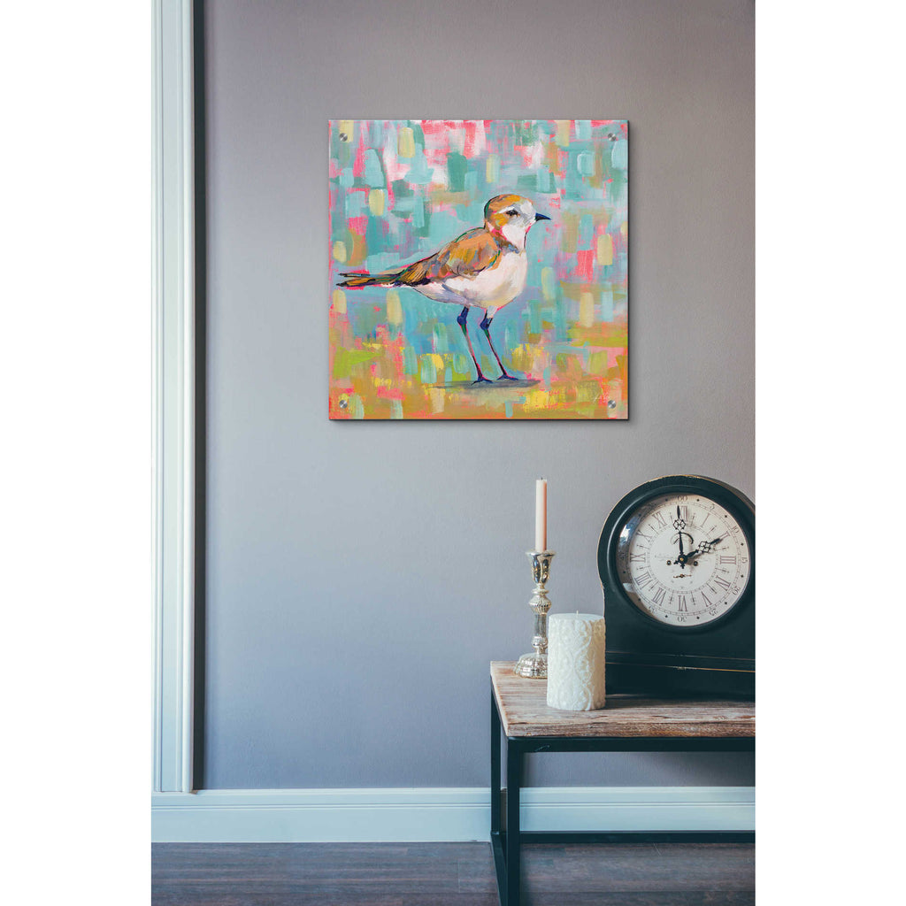 Epic Art 'Coastal Plover III' by Jeanette Vertentes, Acrylic Glass Wall Art,24x24