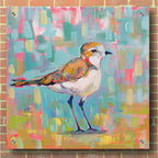 Epic Art 'Coastal Plover III' by Jeanette Vertentes, Acrylic Glass Wall Art,36x36