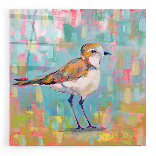 Epic Art 'Coastal Plover III' by Jeanette Vertentes, Acrylic Glass Wall Art