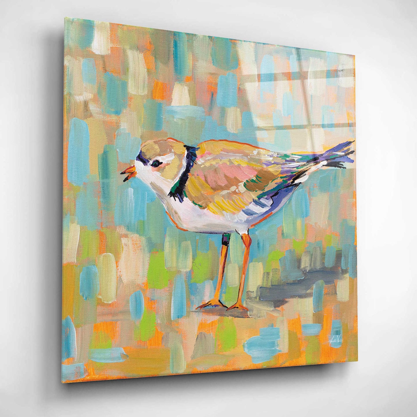 Epic Art 'Coastal Plover IV' by Jeanette Vertentes, Acrylic Glass Wall Art,12x12