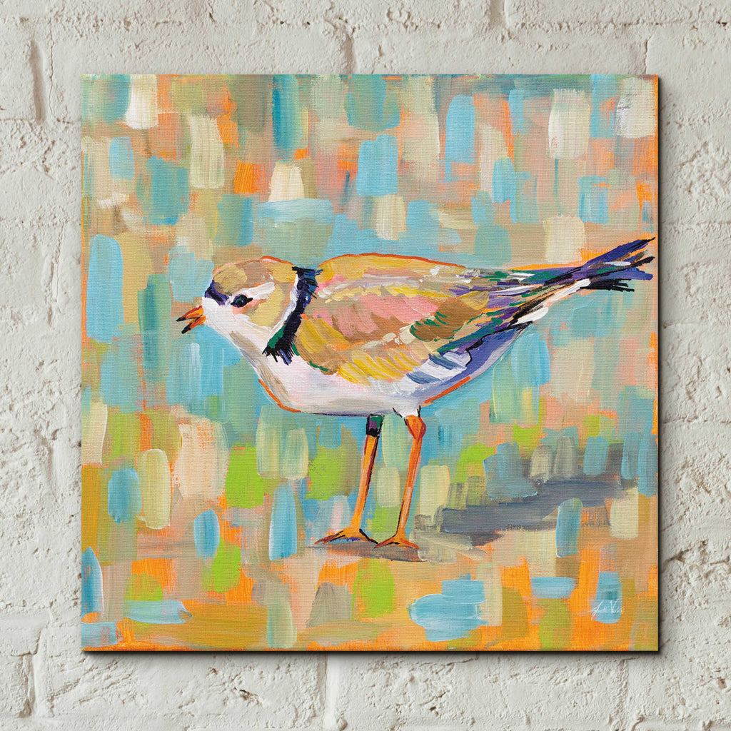 Epic Art 'Coastal Plover IV' by Jeanette Vertentes, Acrylic Glass Wall Art,12x12