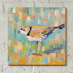 Epic Art 'Coastal Plover IV' by Jeanette Vertentes, Acrylic Glass Wall Art,12x12