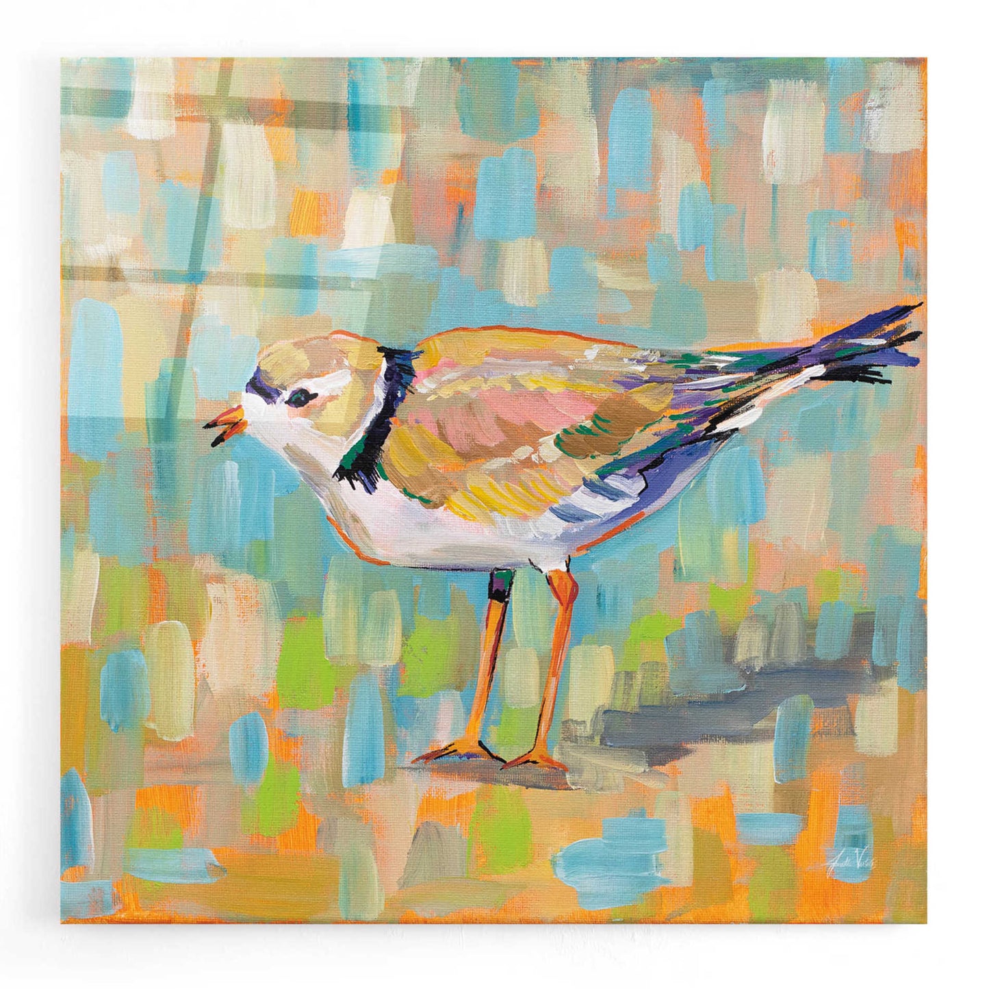 Epic Art 'Coastal Plover IV' by Jeanette Vertentes, Acrylic Glass Wall Art,12x12