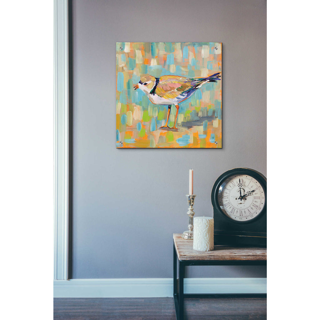 Epic Art 'Coastal Plover IV' by Jeanette Vertentes, Acrylic Glass Wall Art,24x24
