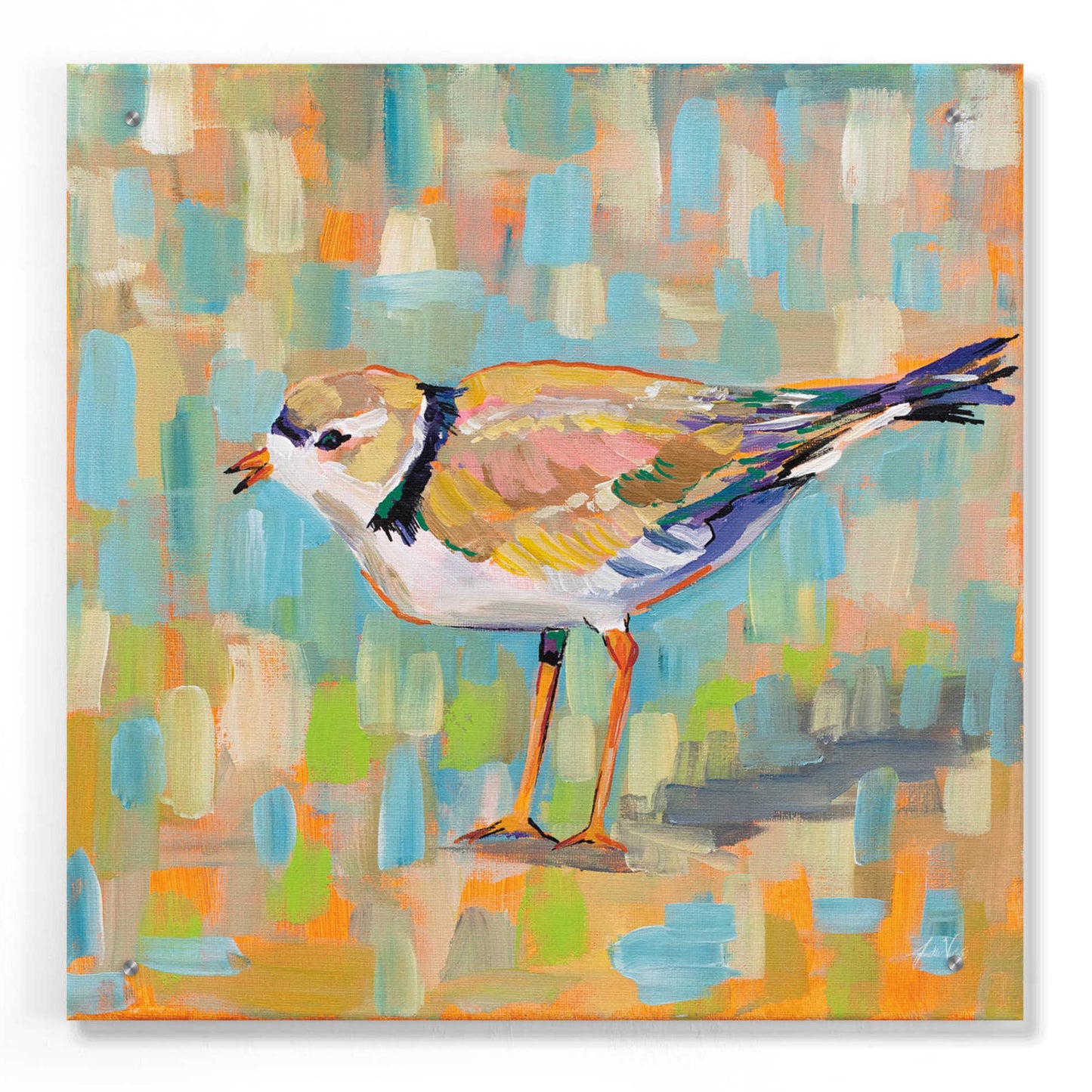 Epic Art 'Coastal Plover IV' by Jeanette Vertentes, Acrylic Glass Wall Art,24x24
