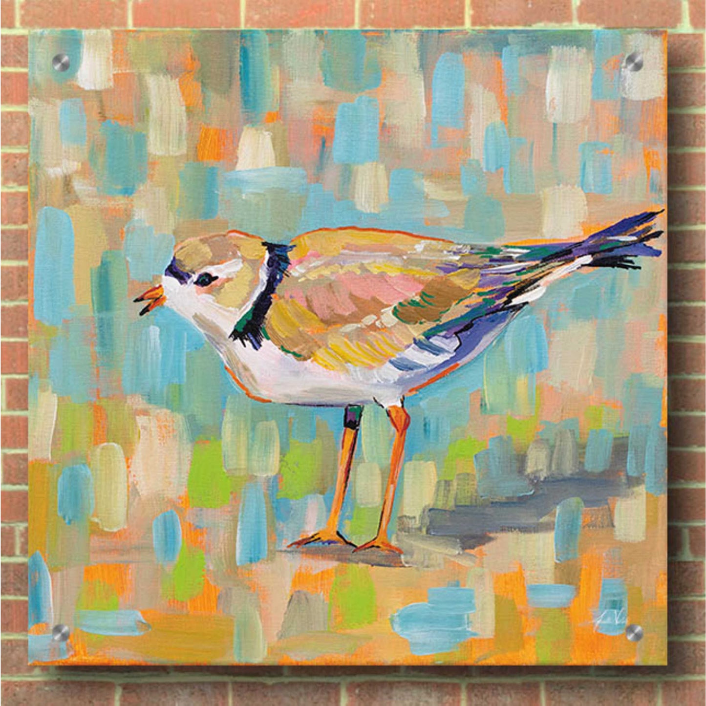 Epic Art 'Coastal Plover IV' by Jeanette Vertentes, Acrylic Glass Wall Art,36x36