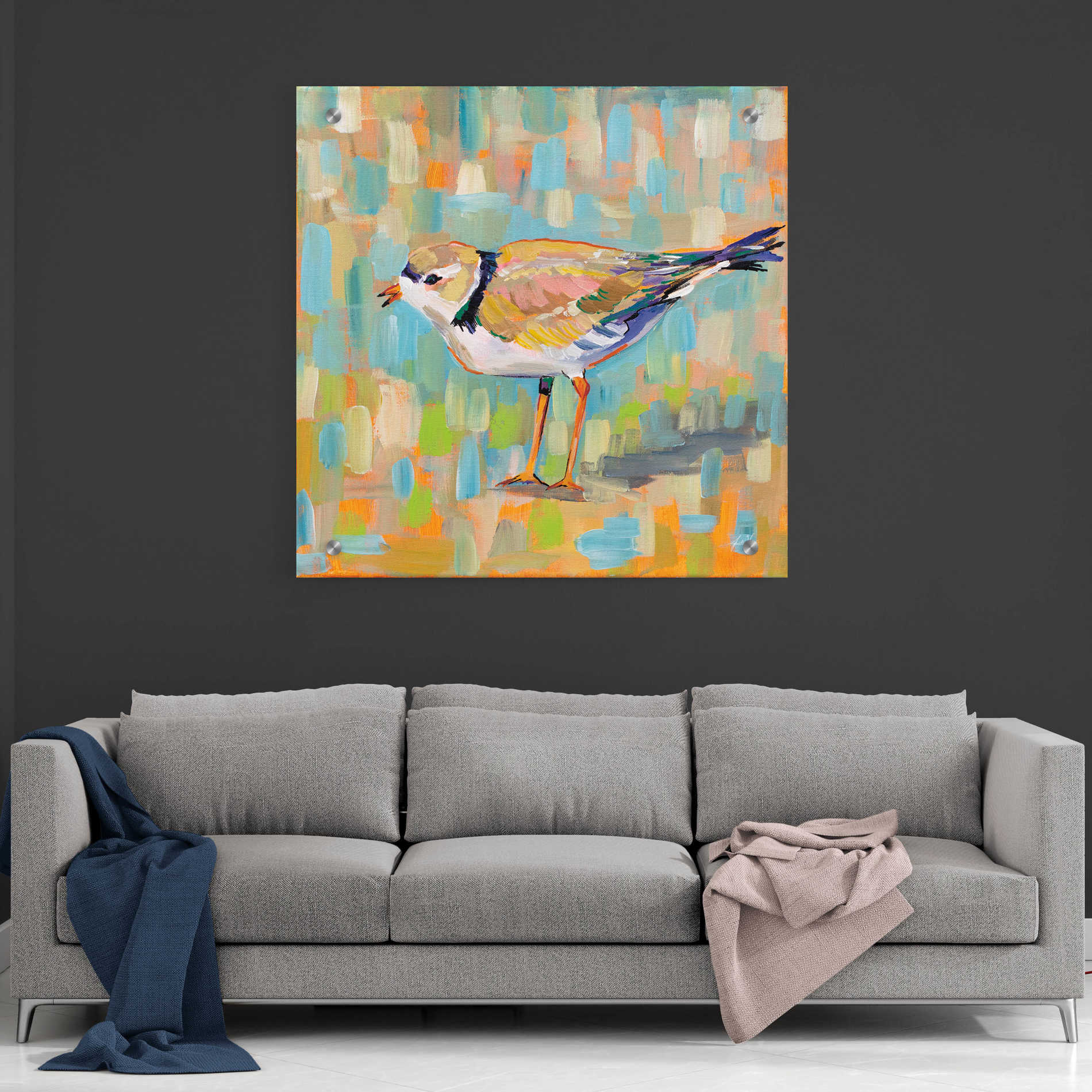 Epic Art 'Coastal Plover IV' by Jeanette Vertentes, Acrylic Glass Wall Art,36x36