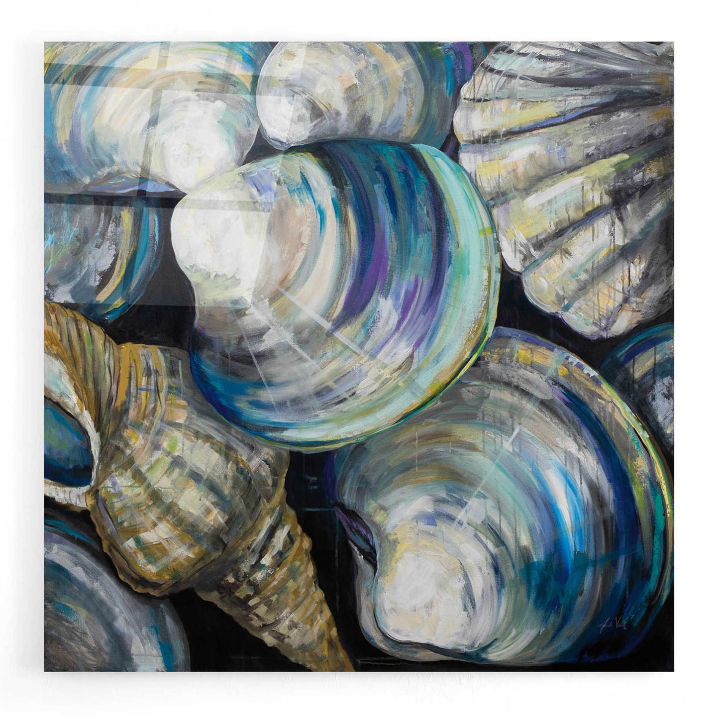 Epic Art 'Key West Shells' by Jeanette Vertentes, Acrylic Glass Wall Art,12x12