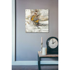 Epic Art 'Amber Ring' by Silvia Vassileva, Acrylic Glass Wall Art,24x24